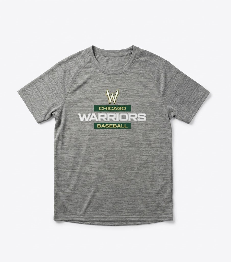 Chicago Warriors T-Shirt Gray