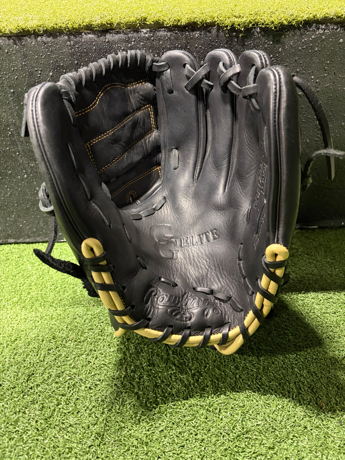 Rawlings GG Elite Glove 12"